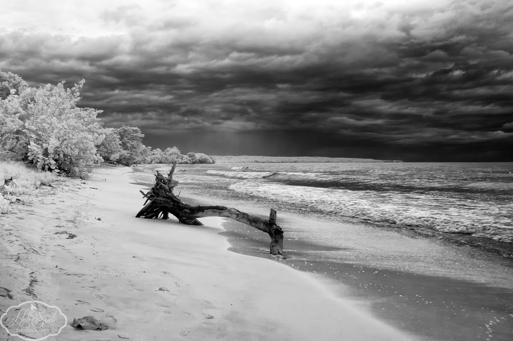 2014_01_SandalsNegril-10856-Edit1000_SEP2.jpg - Another Infra Red image taken on Negril beach.