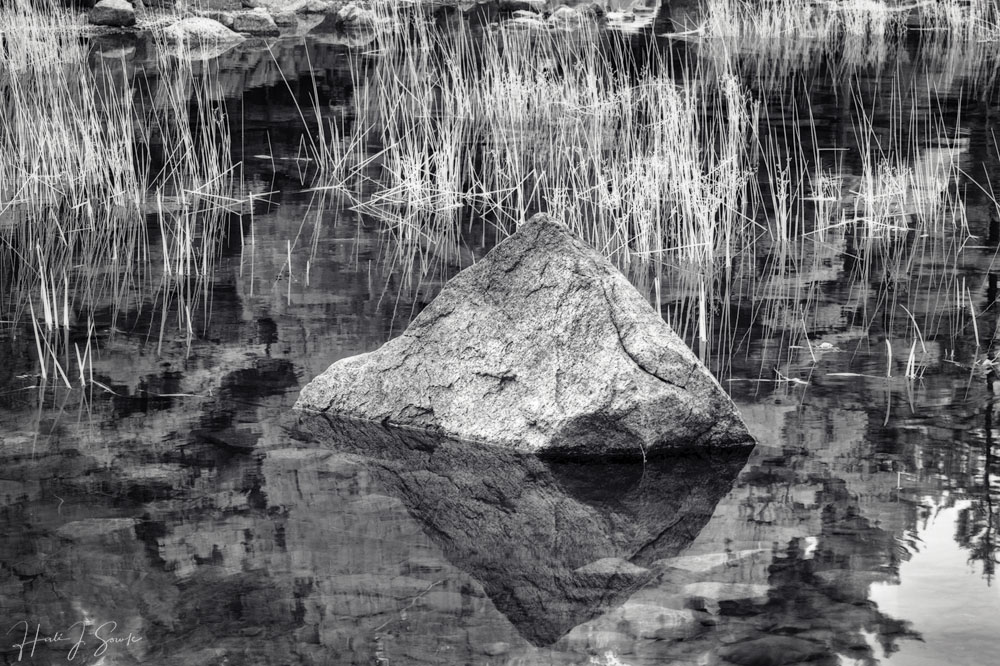 2018_09_Maine-10059-Edit1000.jpg - Rock and reeds in Jordan Pond.  Infrared