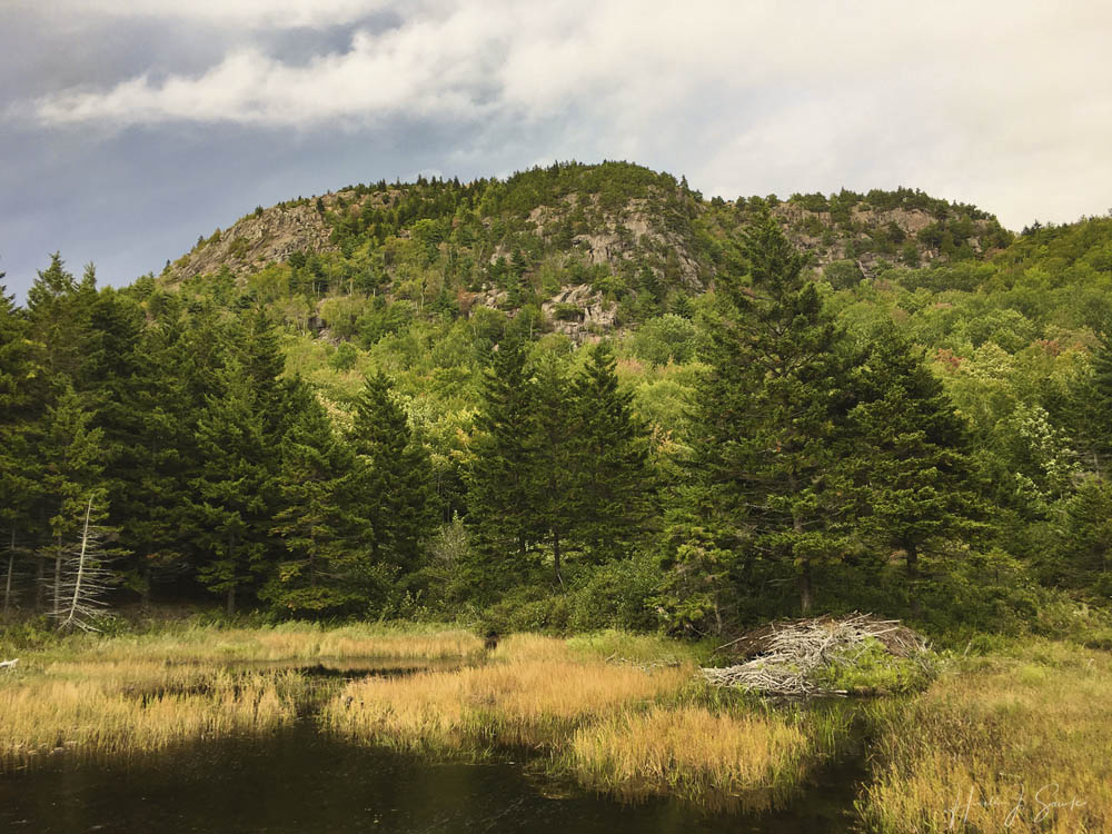 2018_09_Maine-10346_Edit1000.jpg - The next afternoon we did the fun hike around Jordan Pond.  This is from the North end of the pond with one of the big beaver dams. (iPhone 6s)