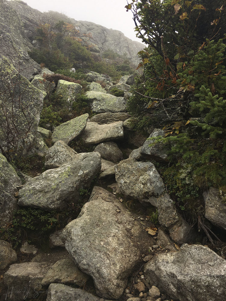 2018_09_WhiteMountainsNH-10207_edit1000.jpg - Hiking up Caps Ridge is arduous.  Its a constant scramble once you get past the second cap, and its pretty unrelentingly upward.  There were plenty of points where I stopped to take a picture with my phone just to catch my breath.