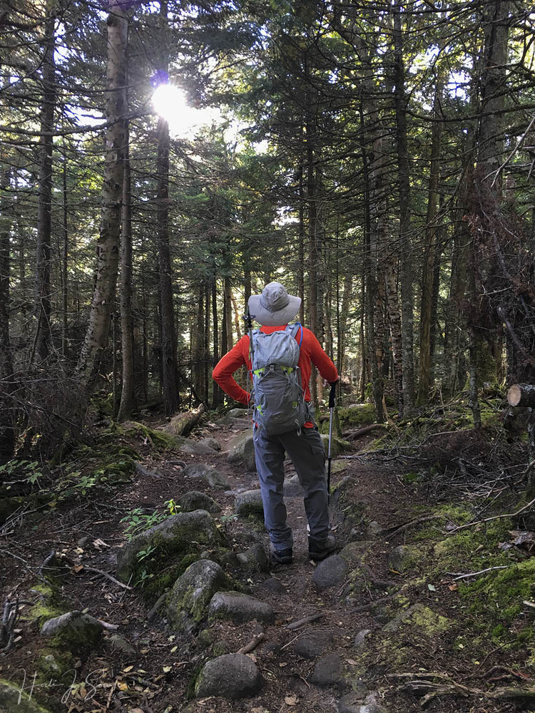 2018_09_WhiteMountainsNH-10285-Edit1000.jpg - Sometimes going down means a bit of going up.