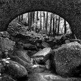 2018_09_Maine-10095-Edit1000-1