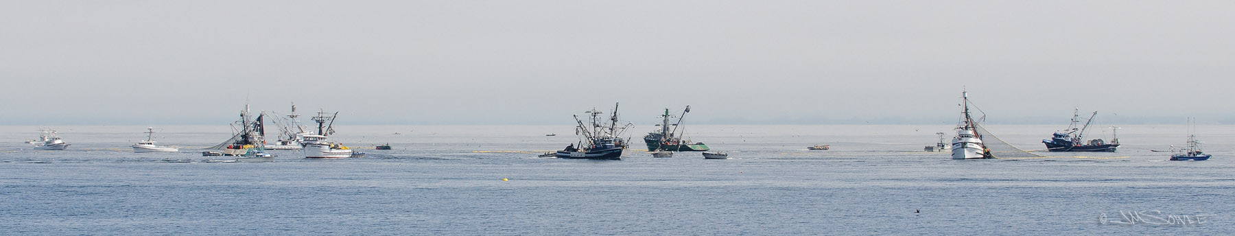 NorthCali2014_103.JPG - Fishing boats during some kind of major operation right in Monterey Harbor.