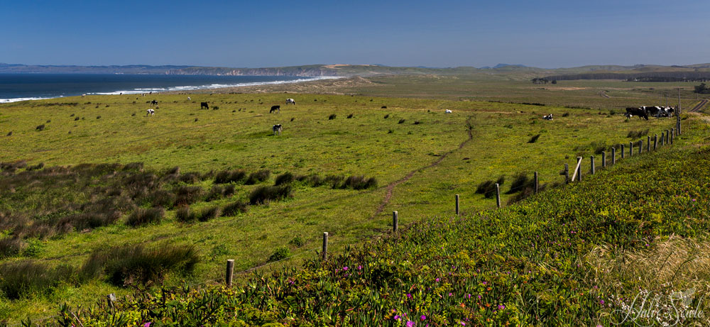 NorthCali2014_2.JPG - Overlooking Point Reyes.  A view from the road leading to the Point Reyes lighthouse.