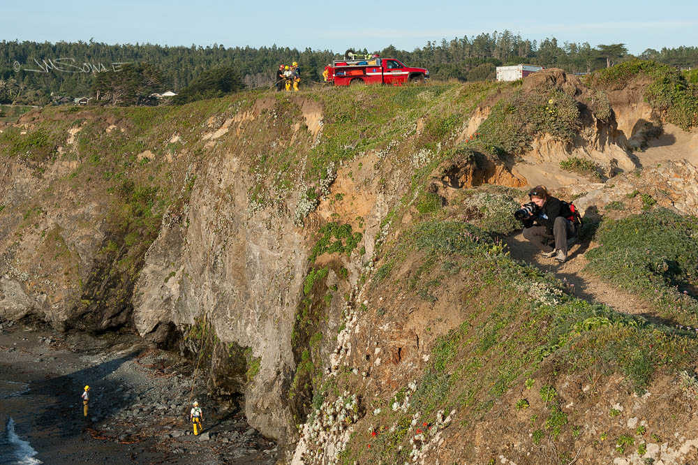NorthCali2014_23.JPG - The "Mendocino District Fire Protection" truck was out with a team practicing their cliff-side rescues.  This was a little before sunset and we had arrived early to take some sunset shots.  Did you even notice Hali shooting the flowers on the walking path?
