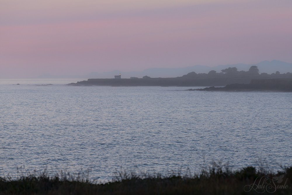 NorthCali2014_26.JPG - Point Cabrillo Light Station on a beautiful May evening.