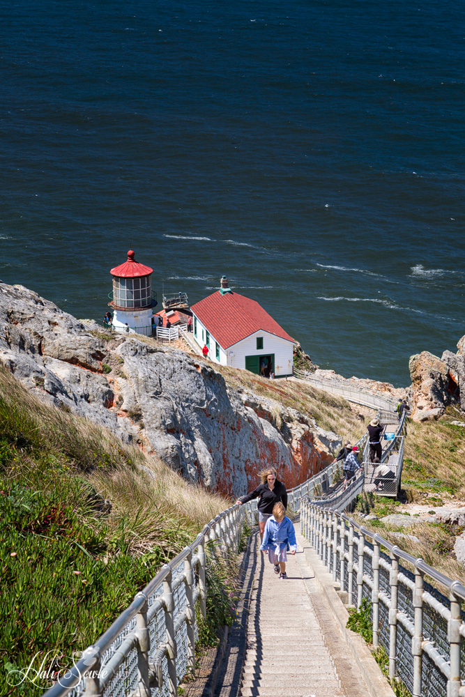 NorthCali2014_7.JPG - Lots and lots of steps.  The hike down to the very pretty Point Reyes Lightouse