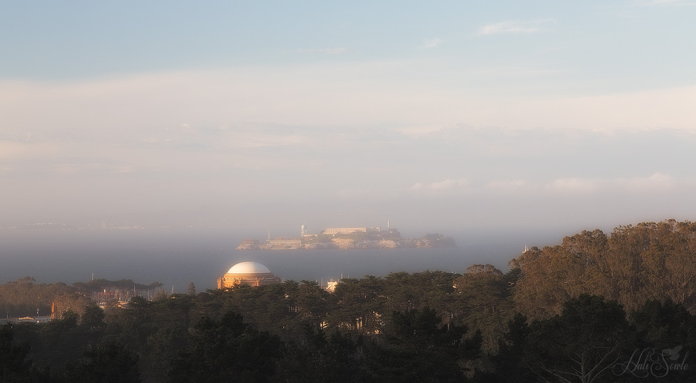 NorthCali2014_77.JPG - The Rock.  Alcatraz as seen from the Presidio.  The dome of the Palace of Fine Arts is in the foreground.