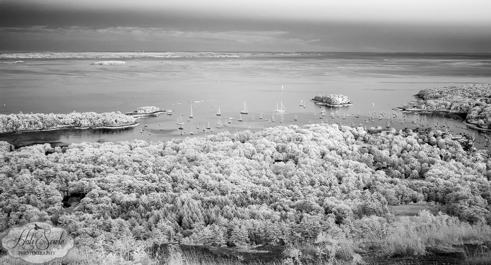 NovaScotia_02.JPG - The View from Above - We drove to the top of Mount Battie for sunset, which really wasn't very exciting, but I did bring the InfraRed converted camera and came away with this view of Camden Harbor.