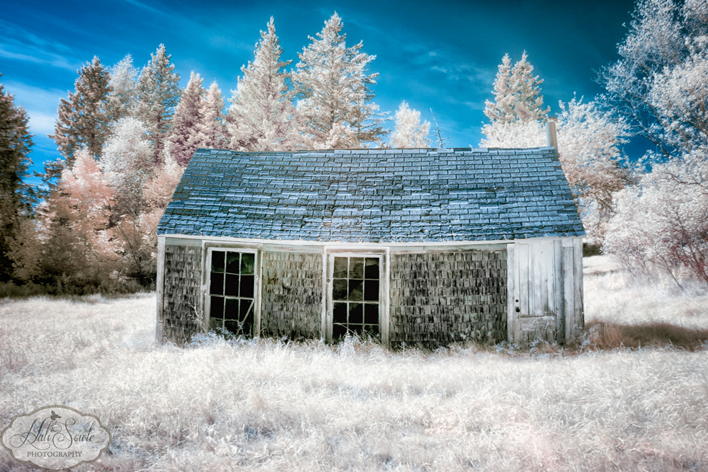 NovaScotia_07.JPG - An old house slowly falling apart on the road down to Stonington Harbor, ME. (Faux color IR)