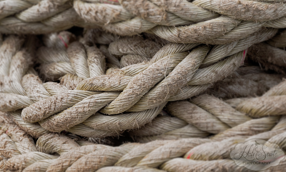 NovaScotia_18.JPG - Neatly coiled line on the Saint John to Digby, NS ferry.