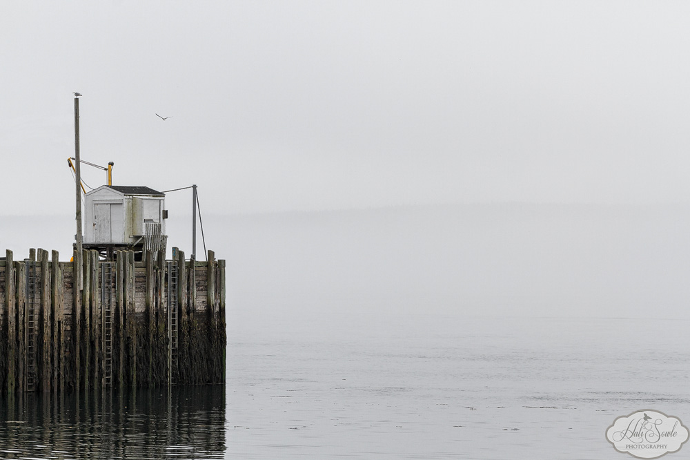 NovaScotia_27.JPG - A lonely shack atop a pier waiting for the return of the fishing boats out in the fog.