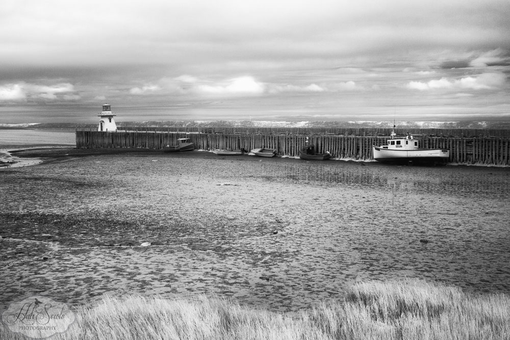 NovaScotia_44.JPG - If you aren't out you aren't going out until the tide turns... The lighthouse at Belliveau Cove on a foggy day at low tide.