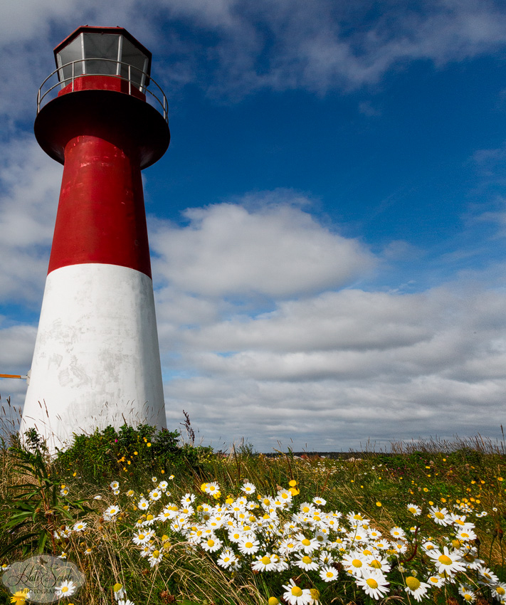 NovaScotia_47.JPG - Wildflowers and Light House at East Pubnico.