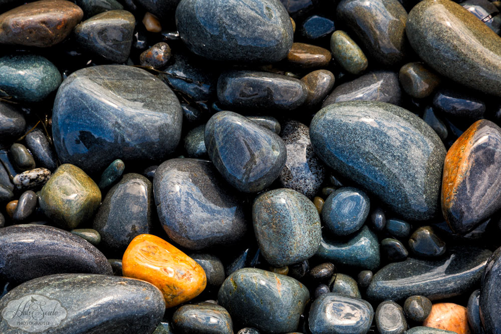 NovaScotia_48.JPG - The path to the East Pubnico LIghthouse was gravel on one side and filled with smooth stones on the other.  I had fun finding patterns and reflections in the wet rocks.