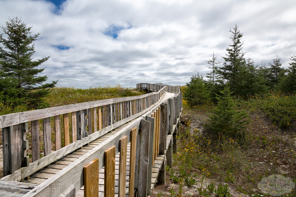 NovaScotia_51.JPG - Boardwalk at Summerville Beach Provincial Park.  There was a pretty beach with some sanderlings and other small wading birds, you could see the shacks on Coffin Island from the beach as well.