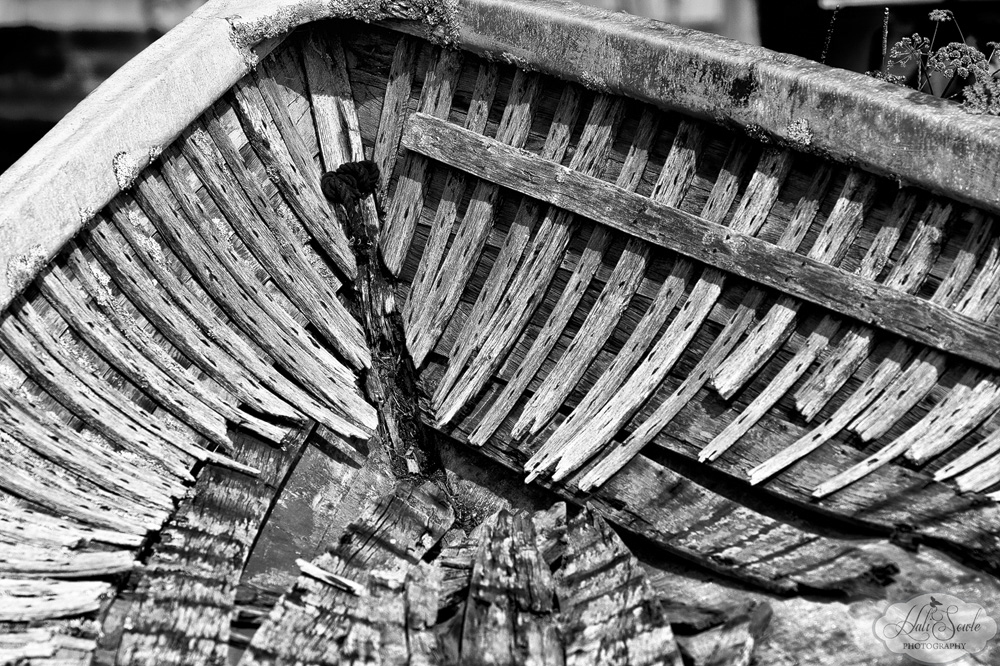 NovaScotia_64.JPG - Broken Dreams - Bow of an old boat long pulled up on shore and left to natures.