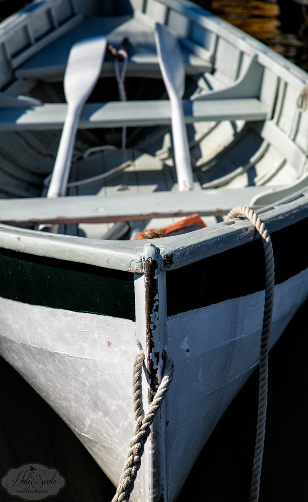 NovaScotia_91.JPG - Row, row, row your boat... after breakfast we wandered around the Camden Docks before heading towards home.