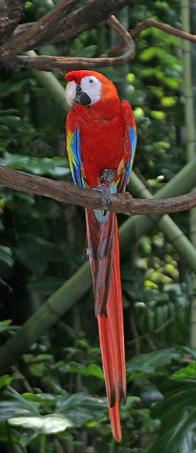 B_WLD_KGDM02-IMG_1774a