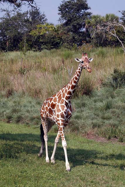 B_WLD_KGDM04-DSC_0101Adj