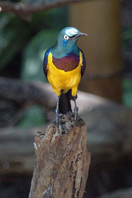 B_WLD_KGDM08-DSC_0167Adj