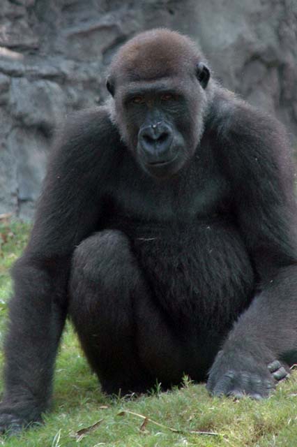 B_WLD_KGDM13-DSC_0232Adj