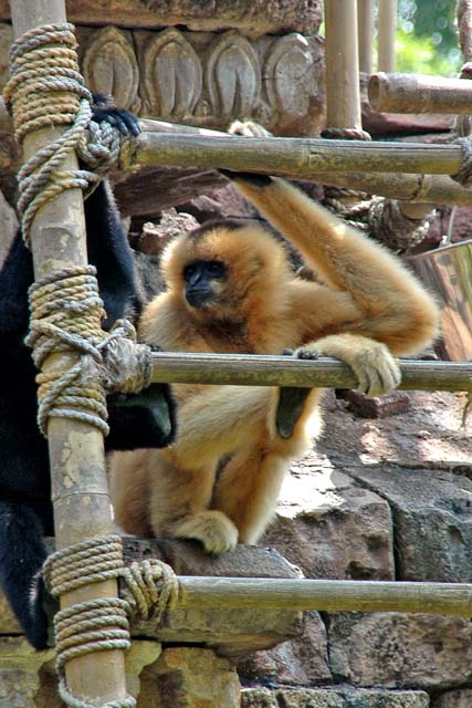 B_WLD_KGDM18-DSC_0274Adj