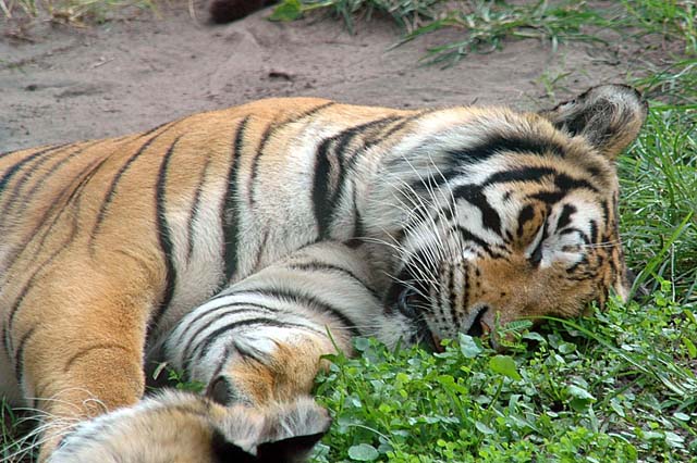 B_WLD_KGDM22-DSC_0303Adj