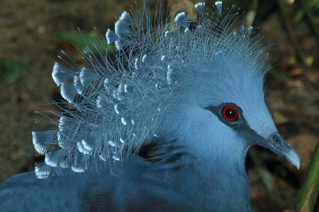 B_WLD_KGDM25-DSC_0331Adj