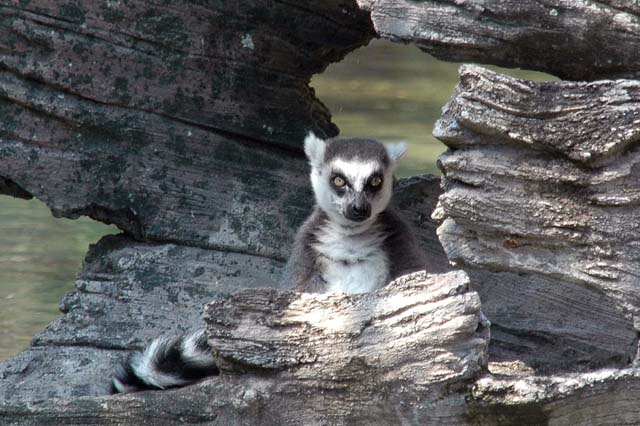 B_WLD_KGDM28-DSC_0373Adj