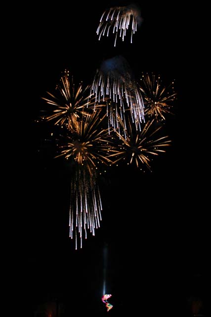 C_EPCOT30-DSC_0601Adj