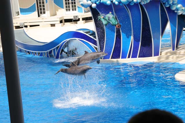 D_SEAWRLD10-IMG_2852