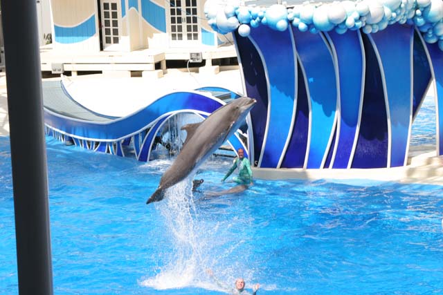 D_SEAWRLD11-IMG_2857