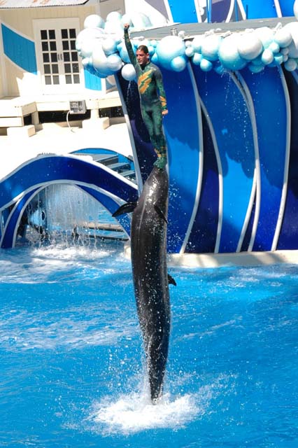 D_SEAWRLD12-DSC_0776Adj