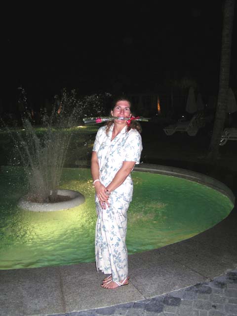 d_NightPoolFountain