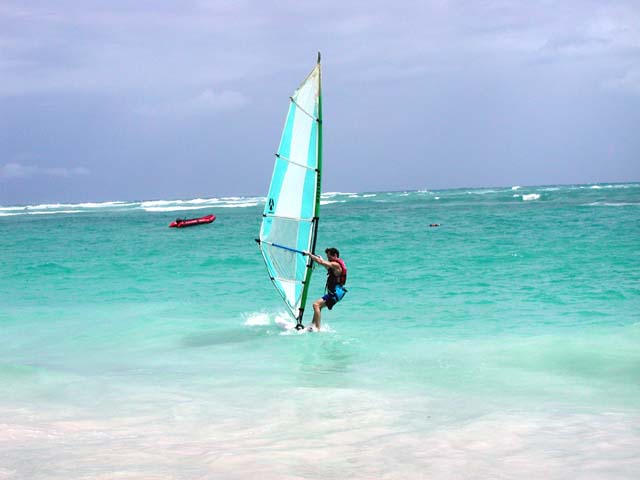 d_Windsurfer