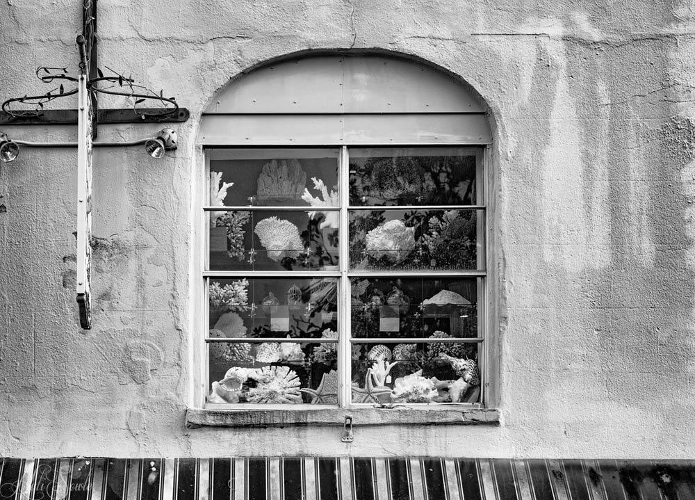 2016_06_Savannah_Charleston-10156-Edit1000.jpg - Yet another window, this one from a shop selling pieces of coral.