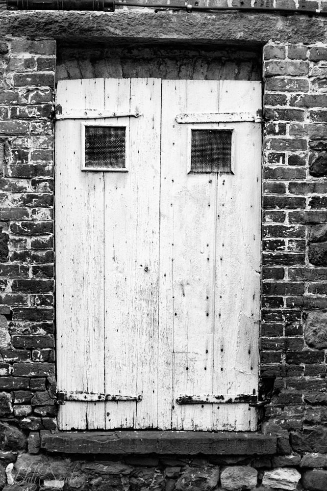 2016_06_Savannah_Charleston-10190-Edit1000.jpg - An old door set about a foot off the ground.  I really enjoyed looking at and photographing these old doors and windows in Savannah.