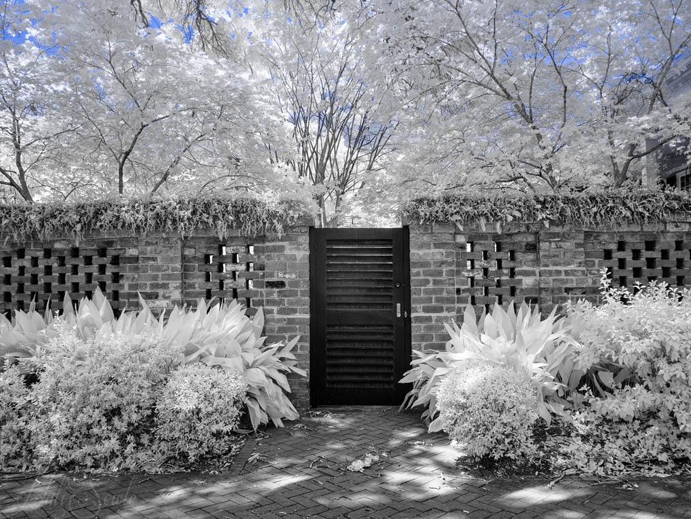 2016_06_Savannah_Charleston-10215-Edit1000_SEP2.jpg - Infra red image of the entrance to a private garden, downtown Savannah.