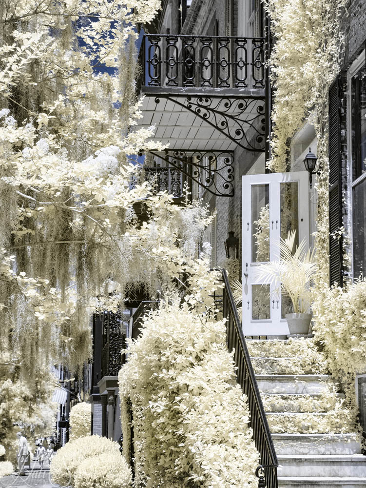 2016_06_Savannah_Charleston-10236-Edit1000.jpg - Infrared image along a street in Savannah.  Even the stairs were full of lush foliage.