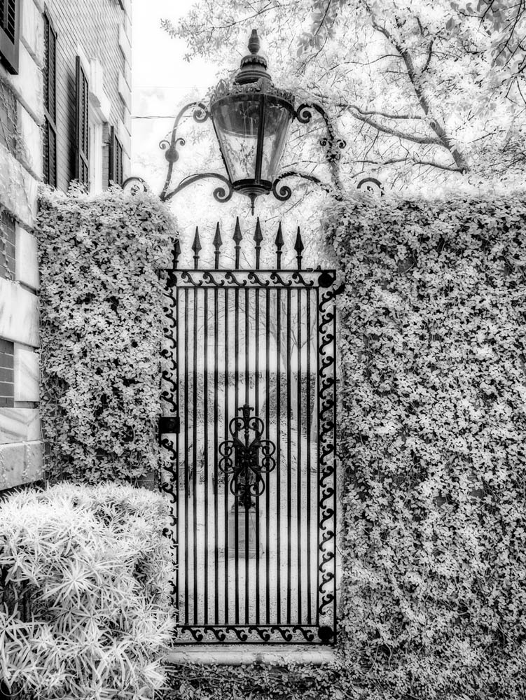 2016_06_Savannah_Charleston-10282-Edit1000.jpg - Savannah also had these beautiful gardens with statuary set behind wrought iron fences and ivy covered walls.  They were a dream to photograph in IR.