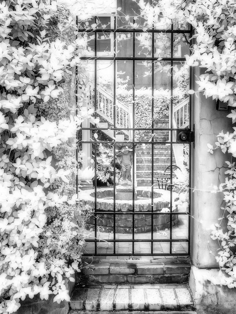 2016_06_Savannah_Charleston-10295-Edit1000_SEP2.jpg - Savannah also had these beautiful gardens with statuary set behind wrought iron fences and ivy covered walls.  They were a dream to photograph in IR.