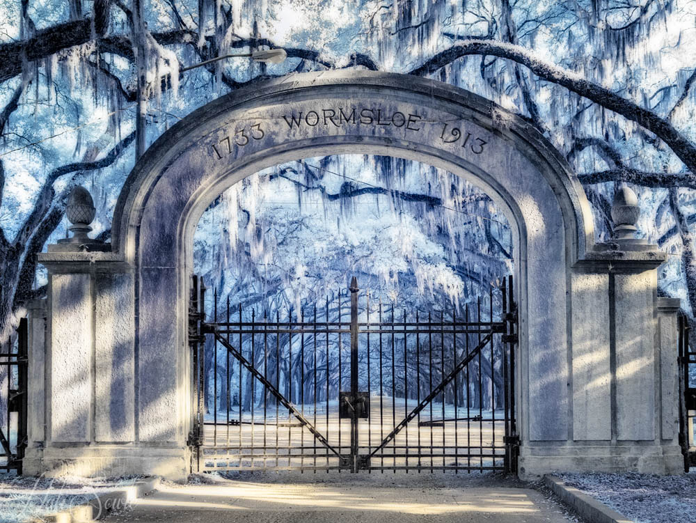 2016_06_Savannah_Charleston-10363-Edit1000.jpg - The Wormsloe Historic site was one place we wanted to visit to see the avenue of live oaks and hanging spanish moss.  It was the estate of the colonial carpenter Noble Jones who came to Savannah with James Oglethorpe and the first group of settlers that emigrated from England.  From his start as a carpenter he helped the colony survive hunger, illness and war as a doctor, Indian agent and surveyor.  He is also famous for helping defend the Georgia coast from the Spanish in the years before the Revolution.  The state of Georgia bought the plantation from his descendants in 1973 and maintain the ruins, there are period costumed interpreters at programs, a museum with artifacts from the colonial and pre-colonial period, and there are interpretive nature trails past the ruins and along the marsh.