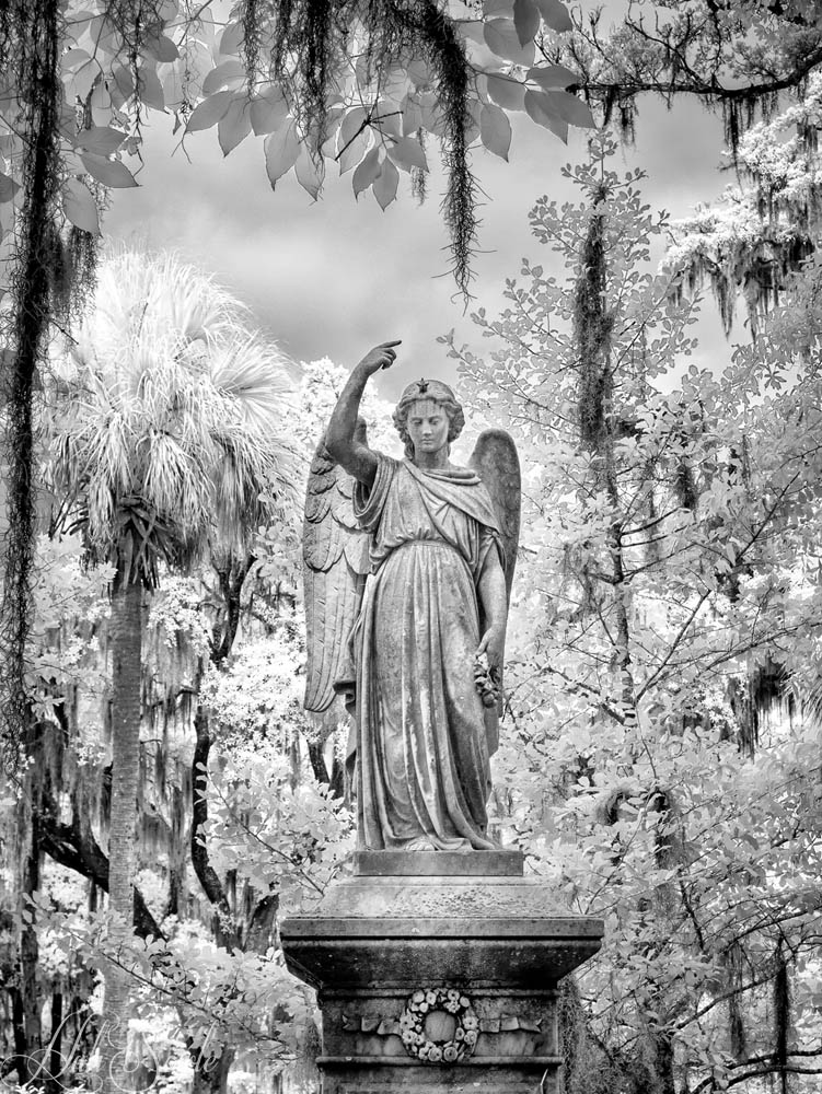 2016_06_Savannah_Charleston-10767-Edit1000-SEP2.jpg - "I came from over there"One of the many statues at Bonaventure Cemetery, just east of Savannah.  Bonaventure Cemetery is a public cemetery with a long history.  It started out as a private cemetery on a plantation owned by John Mullryne which then passed to Commodore Josiah Tattnall, Jr.  After being sold to Peter Wiltberger, whose son formed the Evergreen Cemetery company it was purchased by the city of Savannah in 1907 which made the cemetery public and changed the name to Bonaventure Cemetery.  Bonaventure Cemetery is probably most famous for being featured in the novel and movie "Midnight in the Garden of Good and Evil".