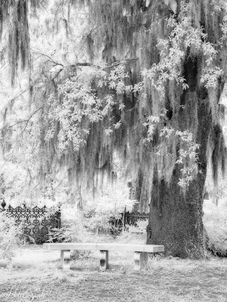 2016_06_Savannah_Charleston-10790-Edit1000.jpg - I was taken by the beauty of Bonaventure Cemetery - especially areas like this, with marble seats under the live oaks.  John Muir, in his thousand mile walk from Indianapolis, Indiana to the Gulf coast of Florida in 1867, slept for 6 nights in the cemetery.  The cemetery was the cheapest and safest place he could sleep.  His book about that trip (entitled "A Thousand-Mile Walk to the Gulf") contained a chapter about the beauty of the cemetery ("Camping in the Tombs").  Unlike John Muir we had no desire to sleep upon the graves, The Hampton inn was plenty comfortable for us  (and I'm pretty sure we would get in trouble if we tried).