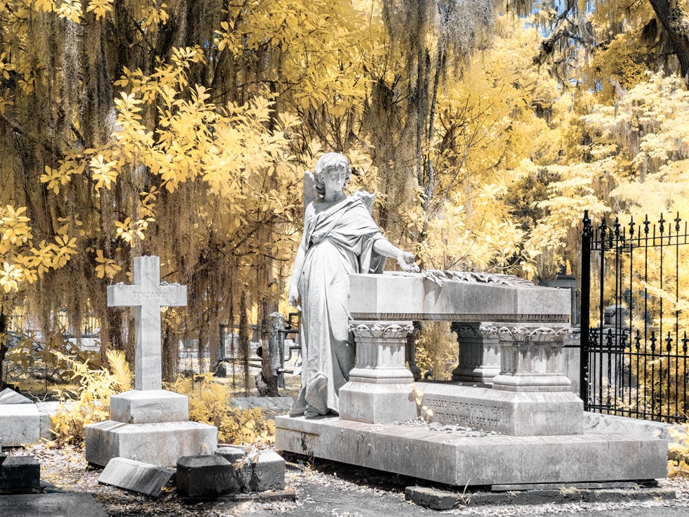 2016_06_Savannah_Charleston-10944-Edit1000.jpg - Taliaferro Angel, Bonaventure Cemetery.  This angel in the cemetery is a monument to Marie M. Barclay Taliferro.  Unfortunately it has suffered a good deal of damage to her wings and hands. (Faux-color Infrared)