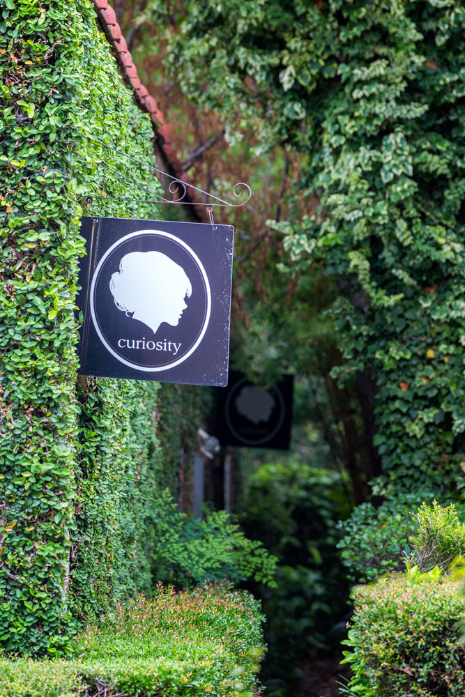 2016_06_Savannah_Charleston-11486-Edit1000.jpg - A shop named curiosity was at the end of the path. We weren't curious enough to go in and browse the beautiful antiques and vintage products.