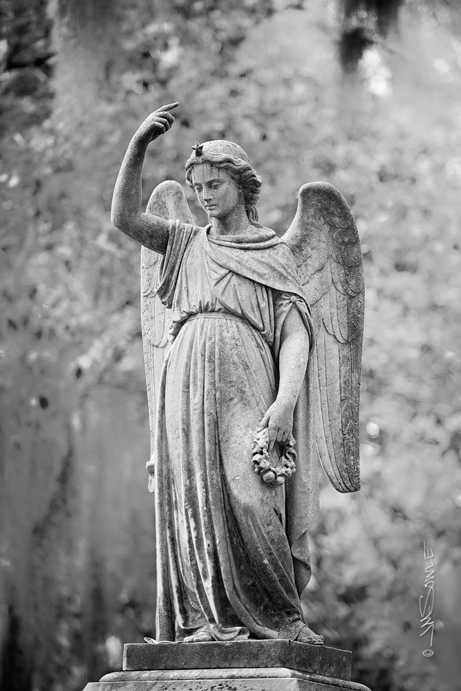 _JMS0366LDC.jpg - Bonaventure.