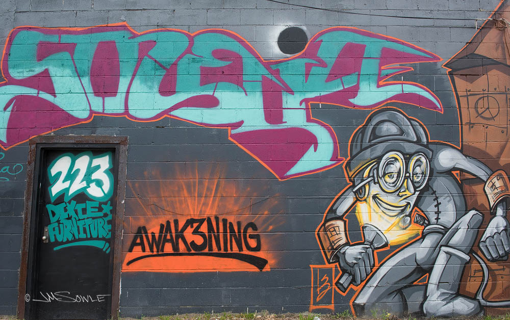 _JMS0477.jpg - Some cool artwork on the side of a building on Huger Street (Charleston).