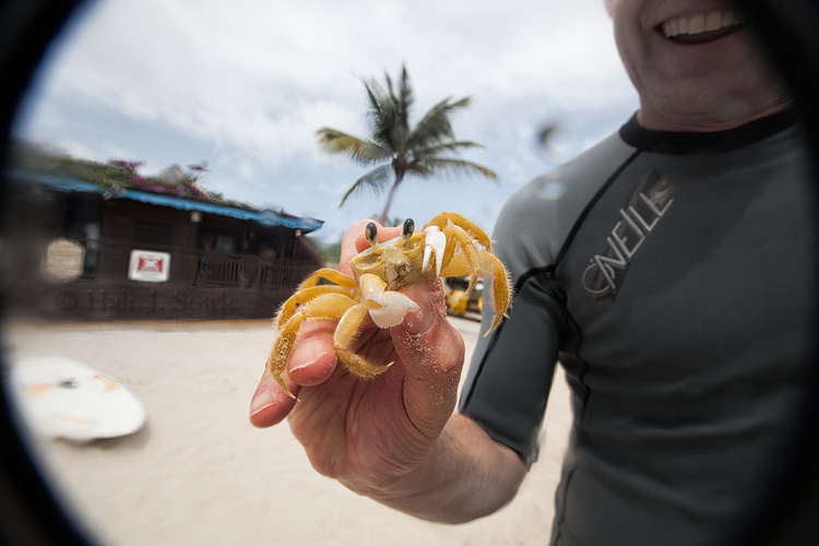 2012_03_25_SandalsLaToc-10168-Edit750.jpg - Although Brad caught this ghost crab, the crab got the last laugh.  I took this picture just before that left claw nipped Brad's thumb causing quite the exclamation and the quick dropping of ghosty who scuttled away right quick.
